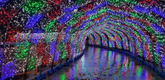 f:id:SSKdes:20191221163712j:plain f:id:SSKdes:20191221163712j:plain