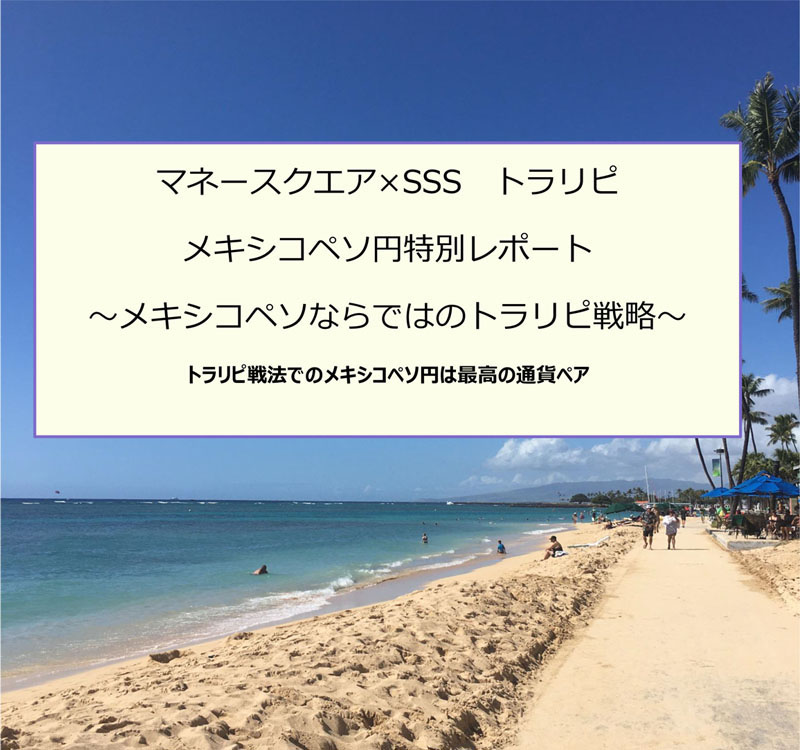 f:id:SSS_world:20200618051046p:plain f:id:SSS_world:20200618051046p:plain