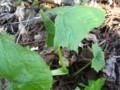 20140424162517