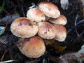 20151104155831