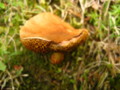 20160615161309