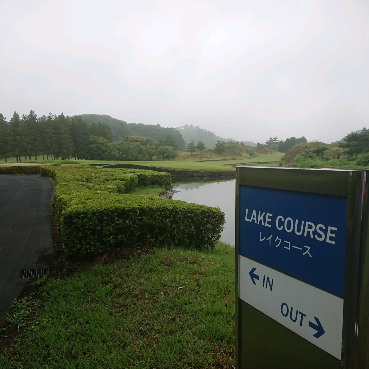 f:id:SUGI8:20190713111058j:plain