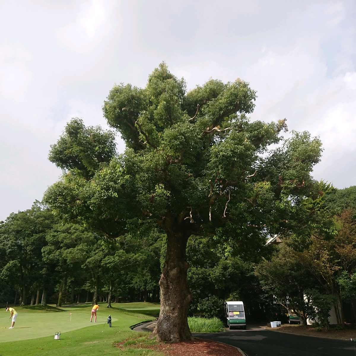 f:id:SUGI8:20190829211527j:plain