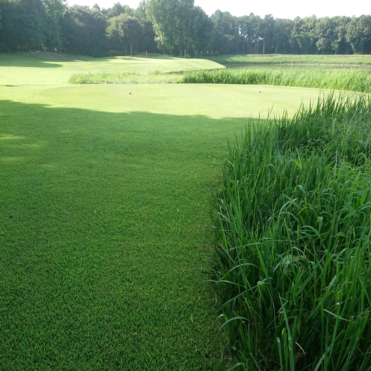 f:id:SUGI8:20190913142424j:plain