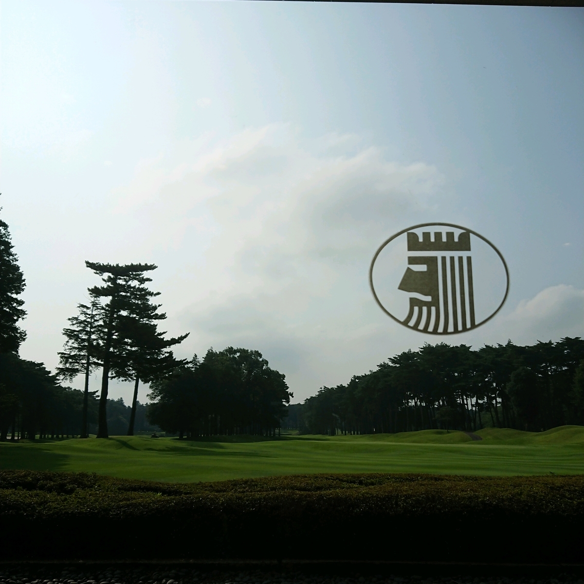 f:id:SUGI8:20190914095829j:plain