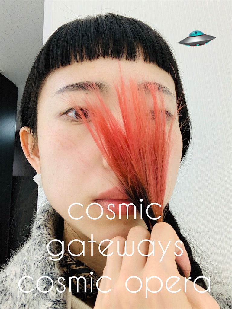 f:id:SUGICOO:20190125131056j:image