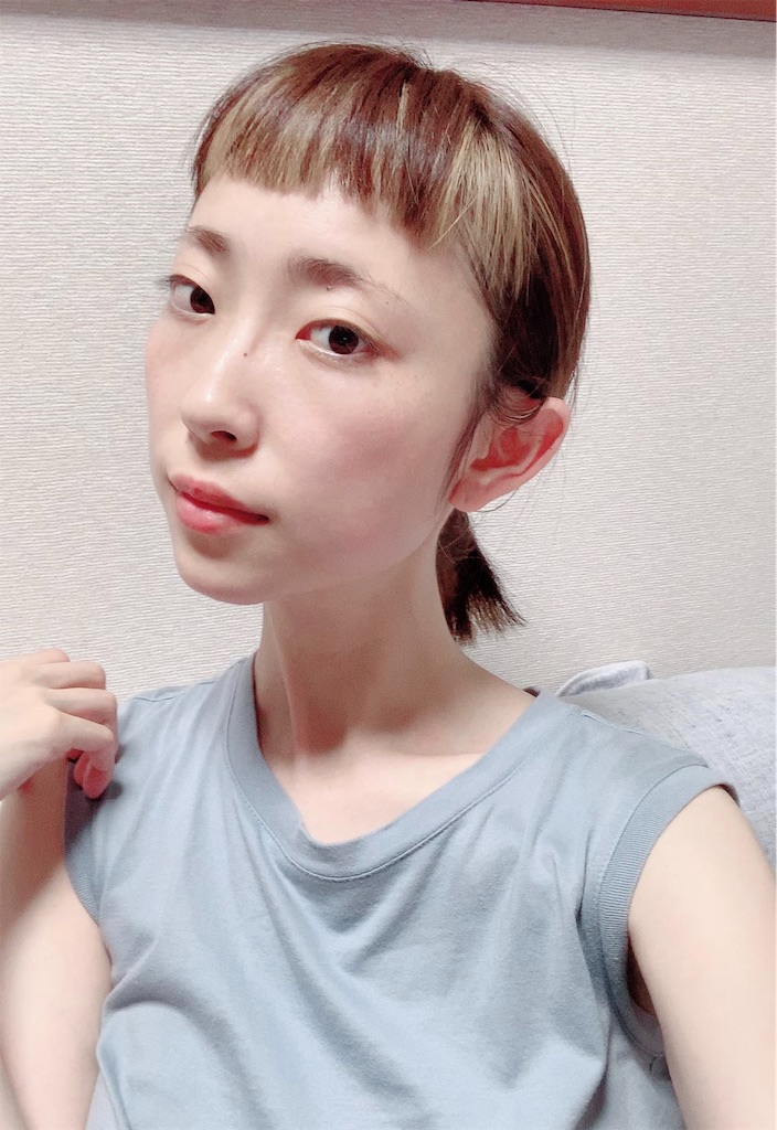 f:id:SUGICOO:20190611201515j:plain