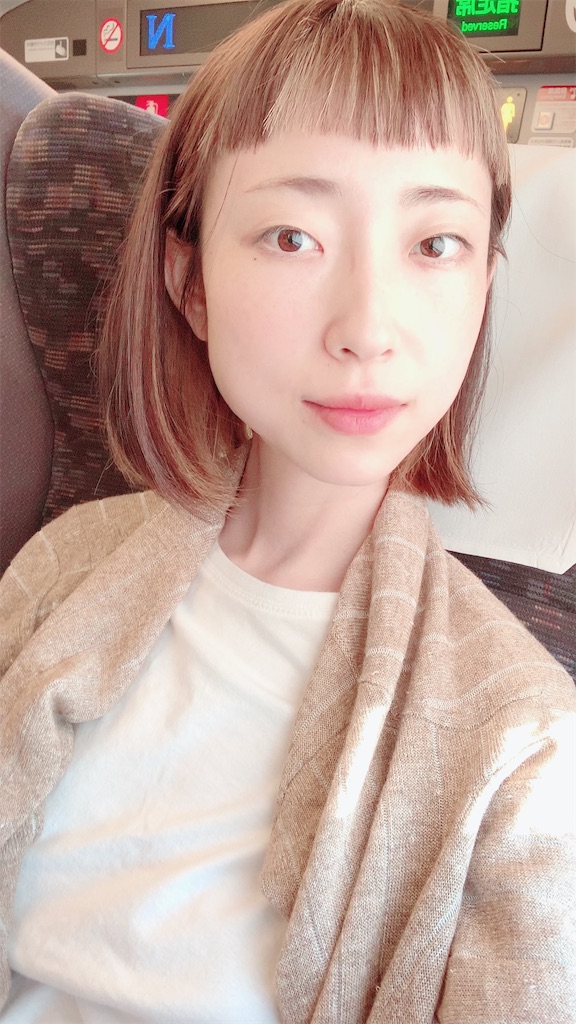 f:id:SUGICOO:20190612192304j:image