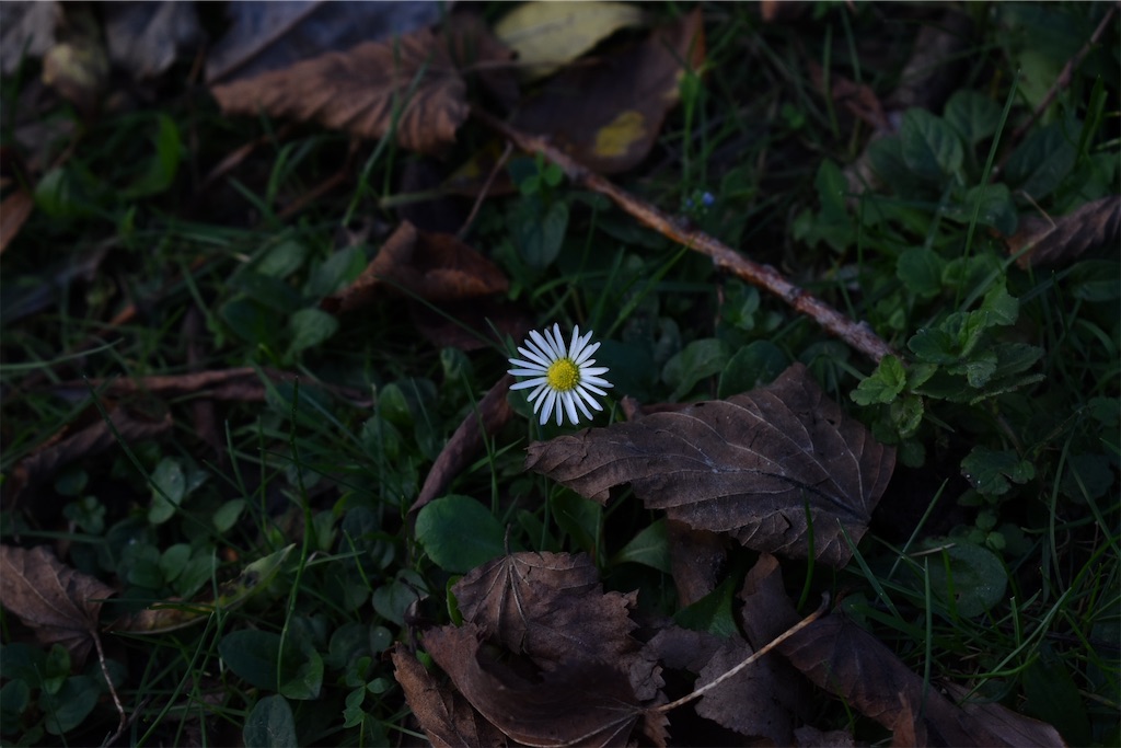 f:id:SUGICOO:20191014203028j:image f:id:SUGICOO:20191014203028j:image