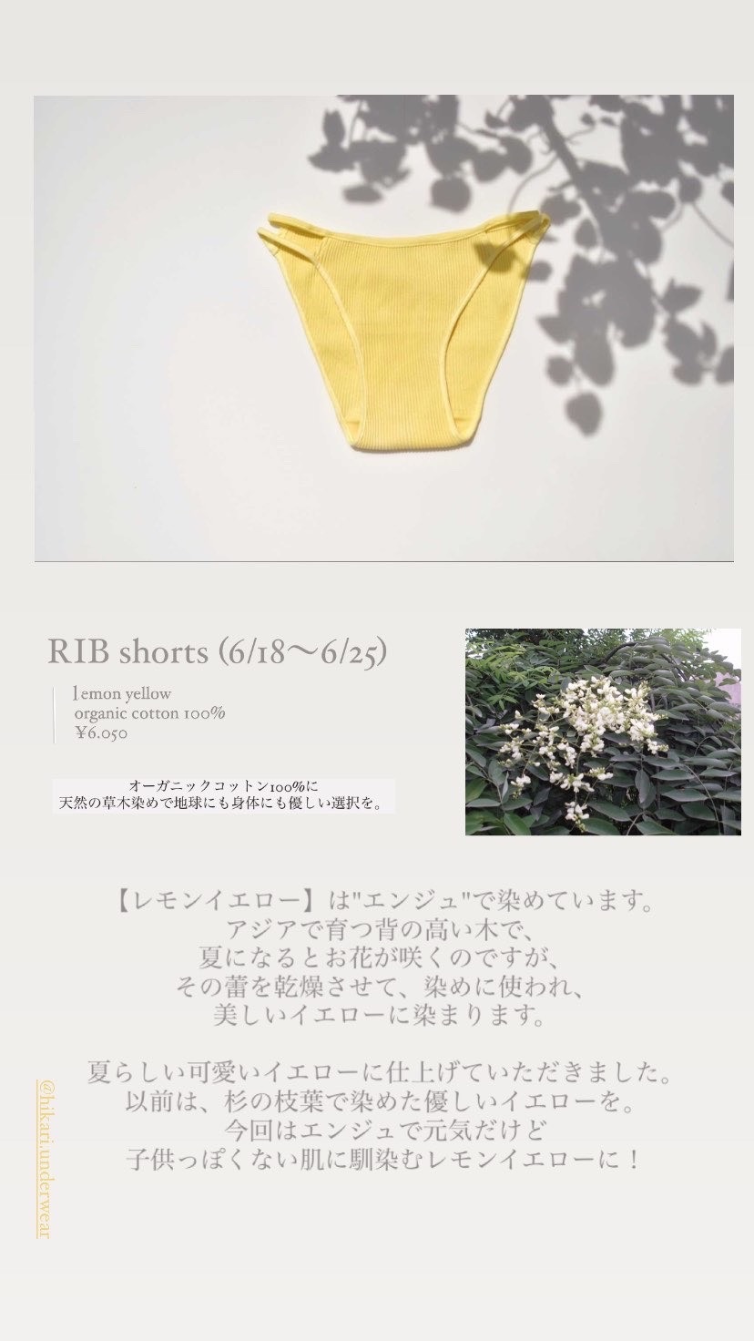 f:id:SUGICOO:20210624180431j:plain