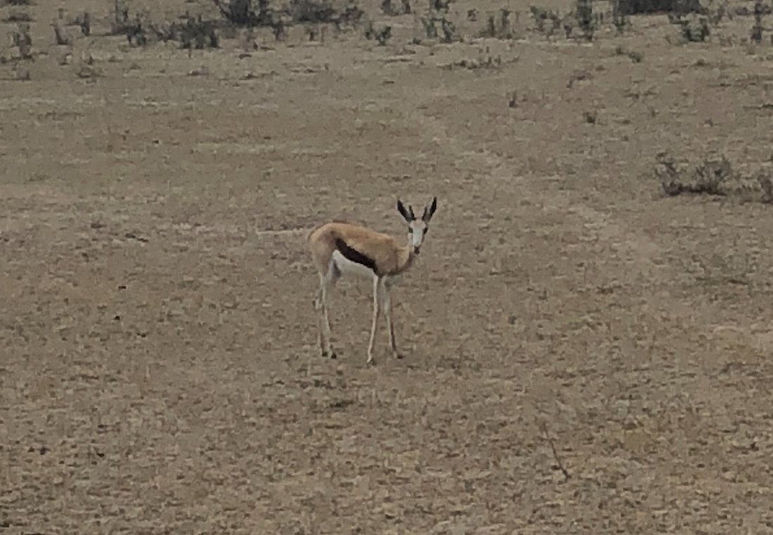 f:id:SUKEafrica:20190911203203p:plain