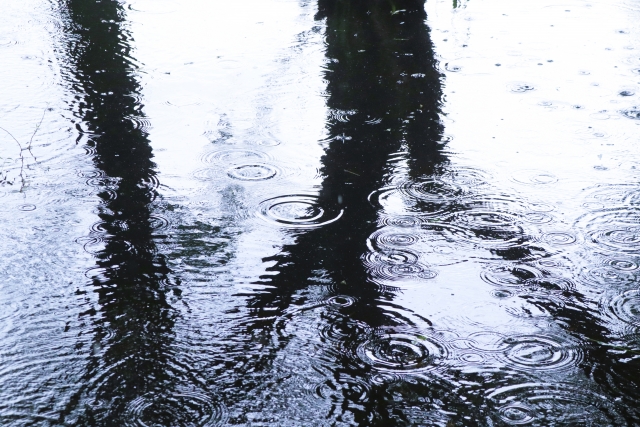 雨が降っている様子