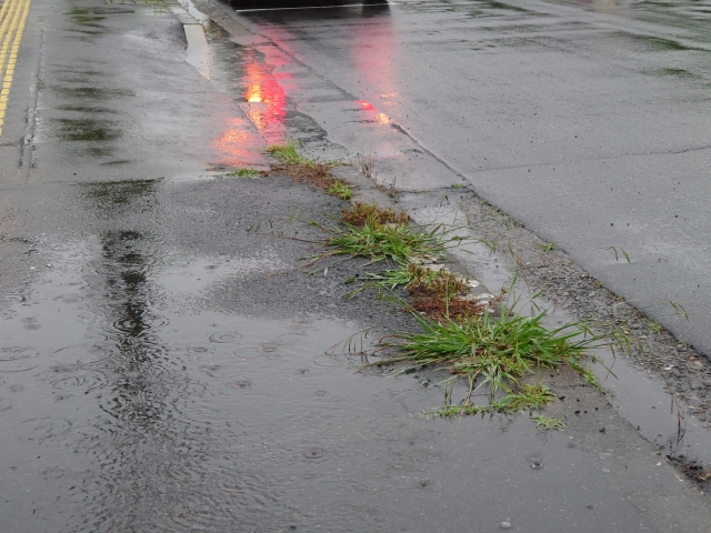 雨が降っている道路