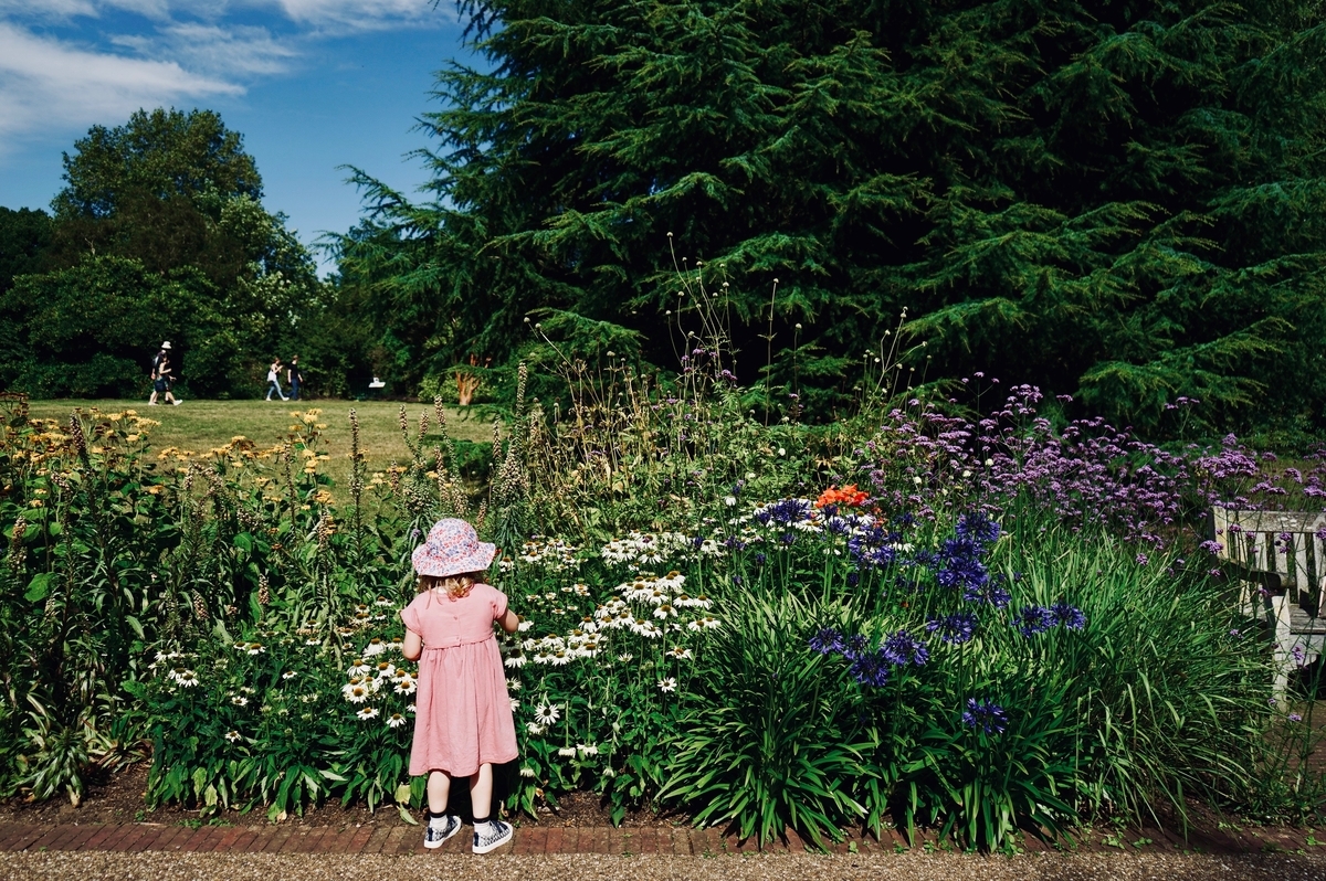 f:id:SUPER_CAT:20200719223549j:plain