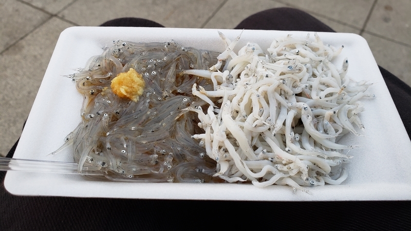f:id:SURUmeee_JP:20201215234305j:plain