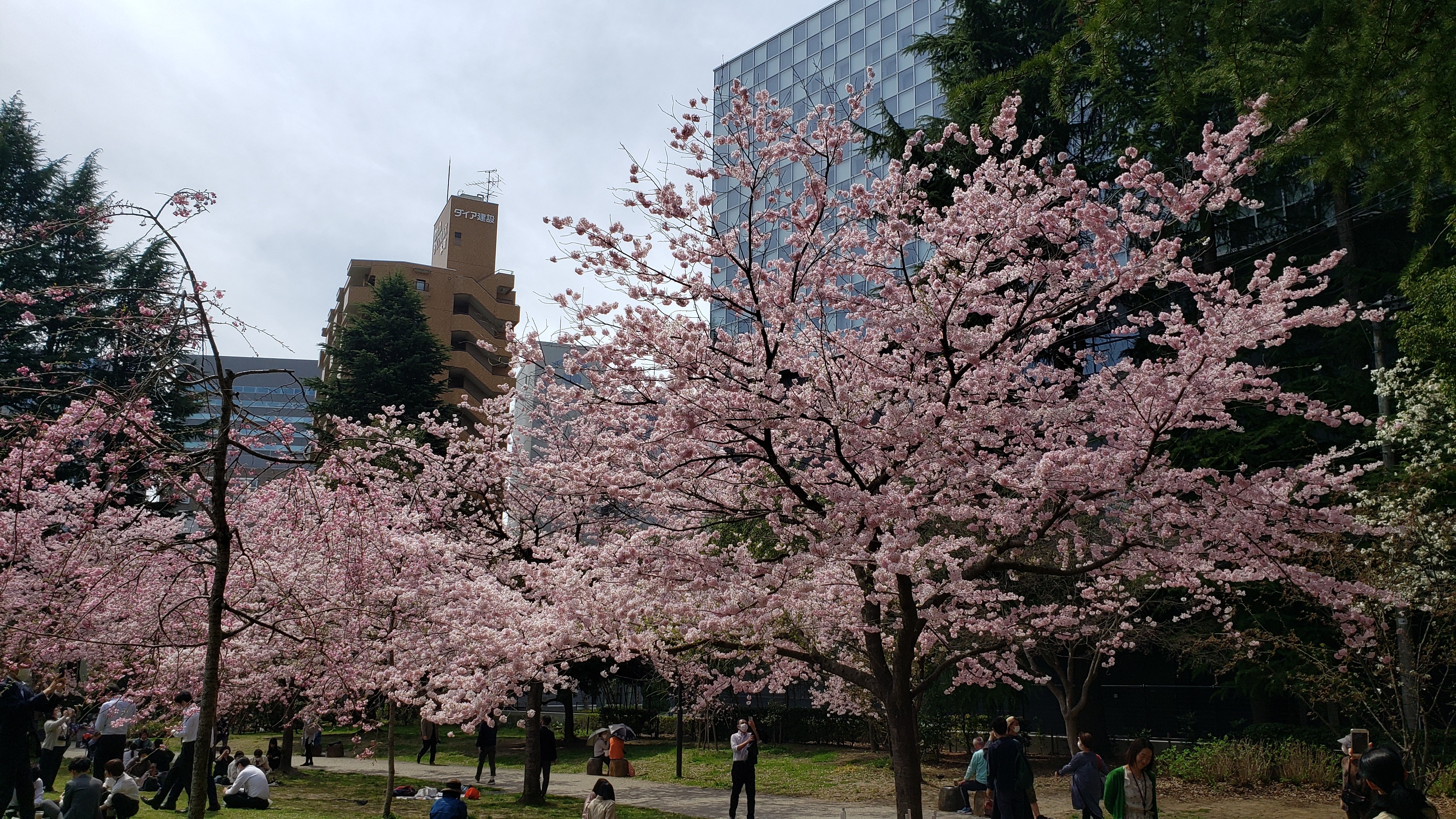 f:id:SURUmeee_JP:20220412005718j:image f:id:SURUmeee_JP:20220412005718j:image