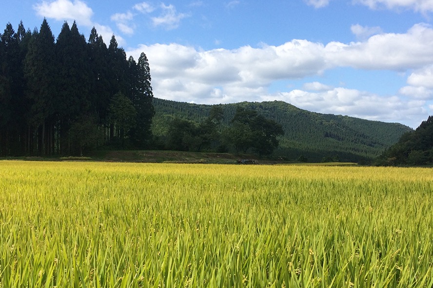 f:id:SUUMO:20170222103756j:plain