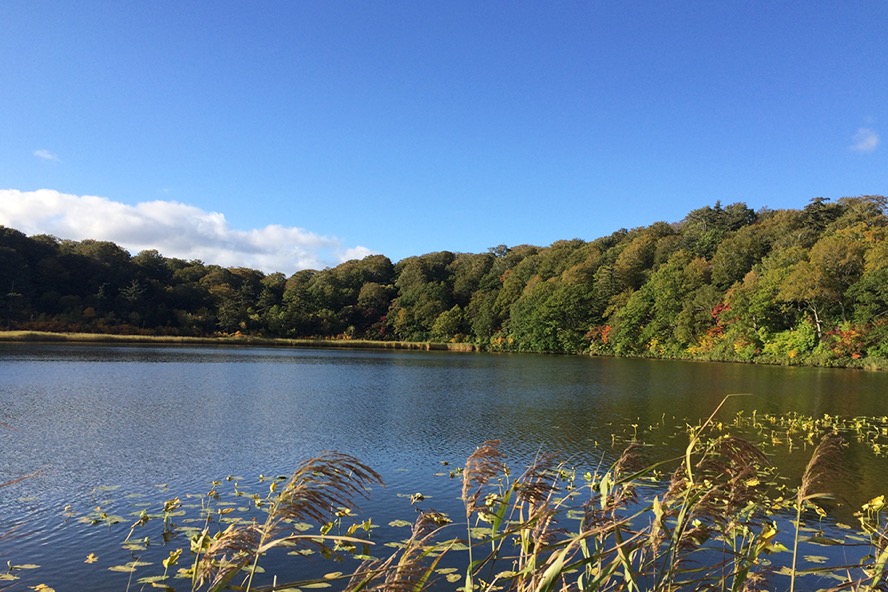 f:id:SUUMO:20170222103830j:plain