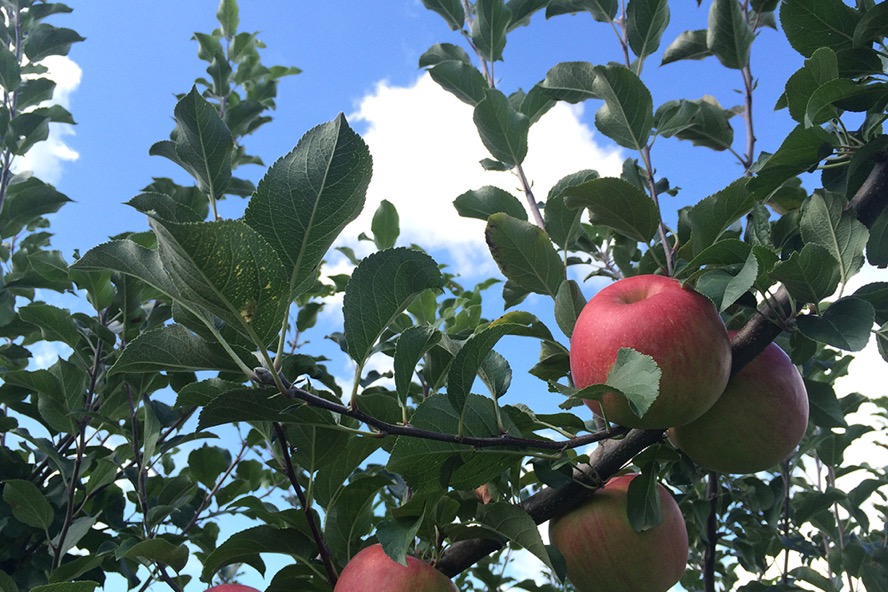 f:id:SUUMO:20170222103856j:plain