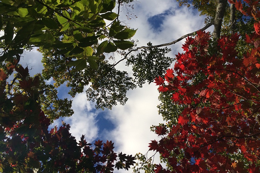 f:id:SUUMO:20170222103905j:plain