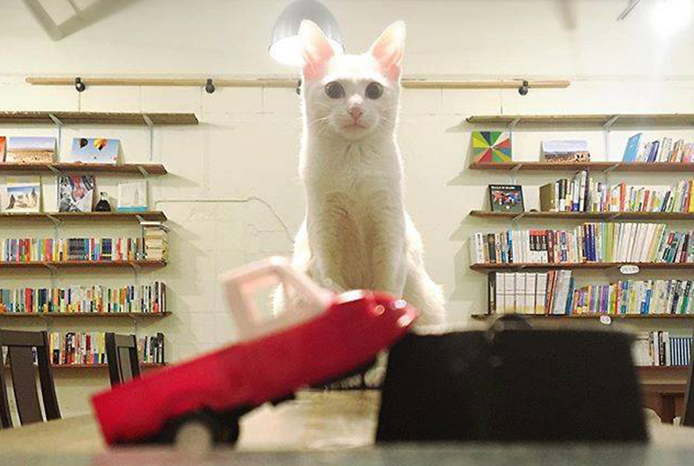 f:id:SUUMO:20170605141846j:plain