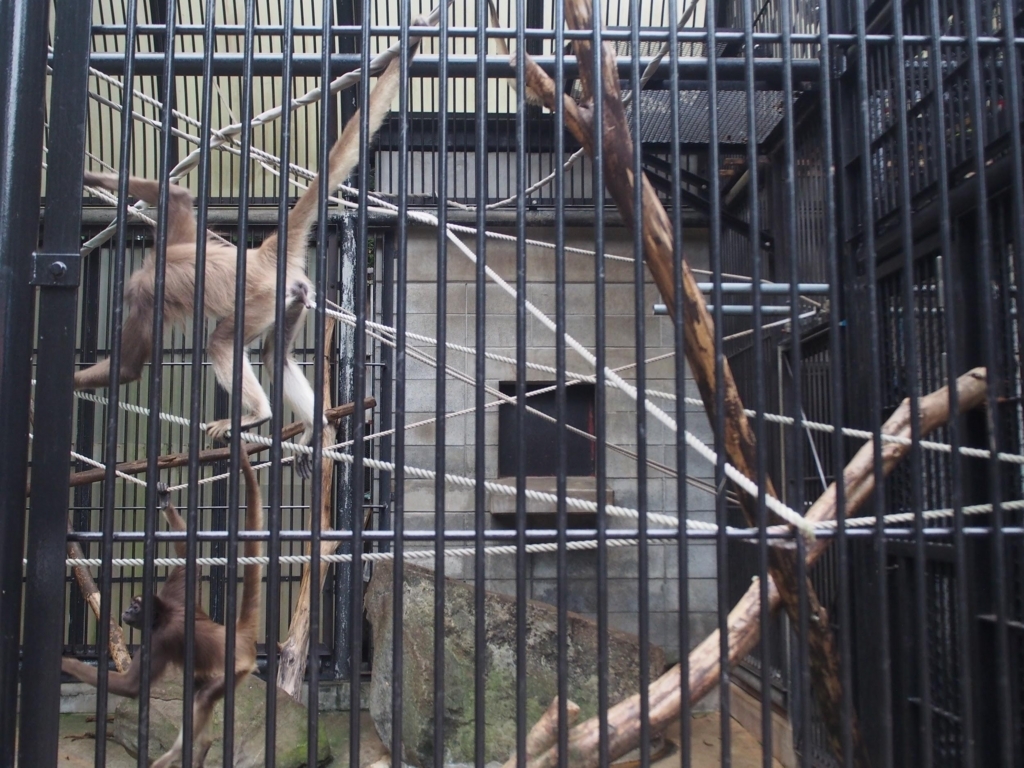 f:id:SUUMO:20171017130714j:plain