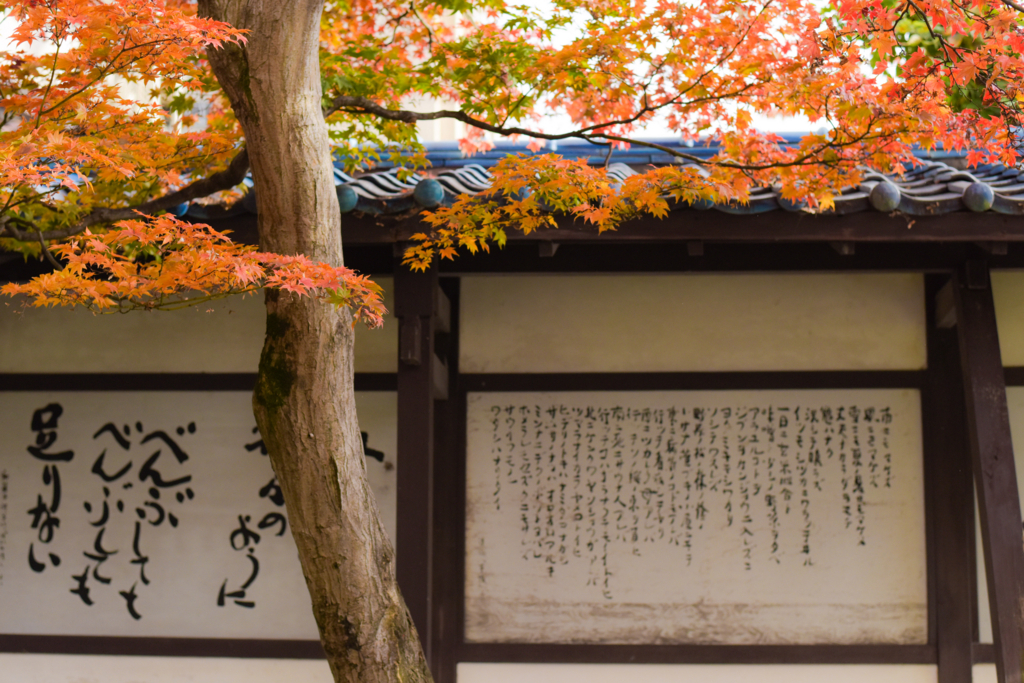 f:id:SUUMO:20171115171104j:plain