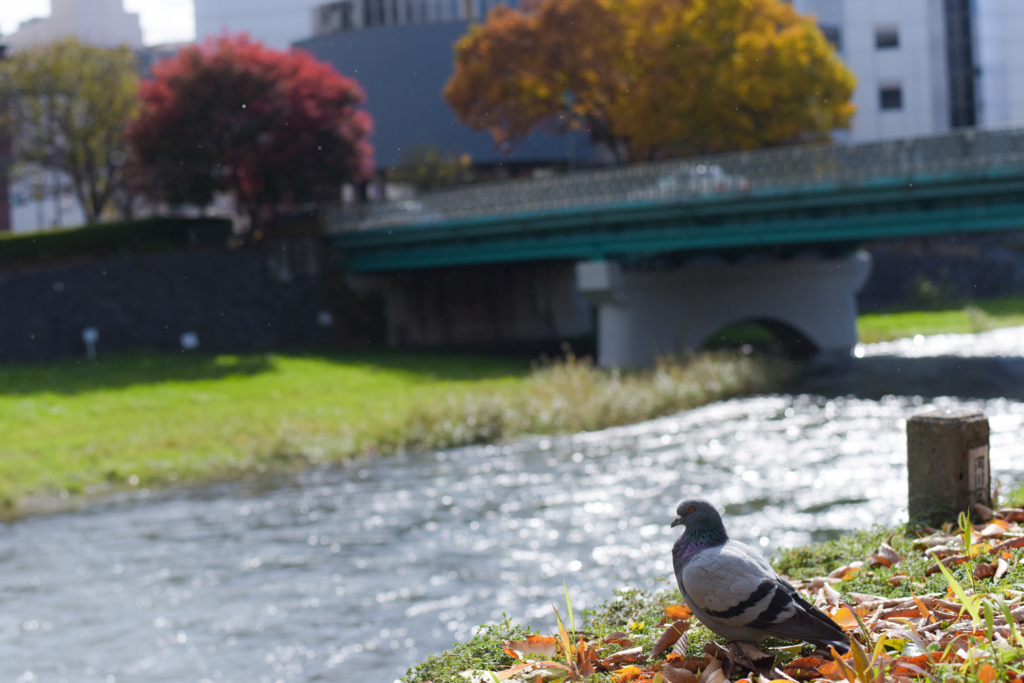 f:id:SUUMO:20171115171135j:plain