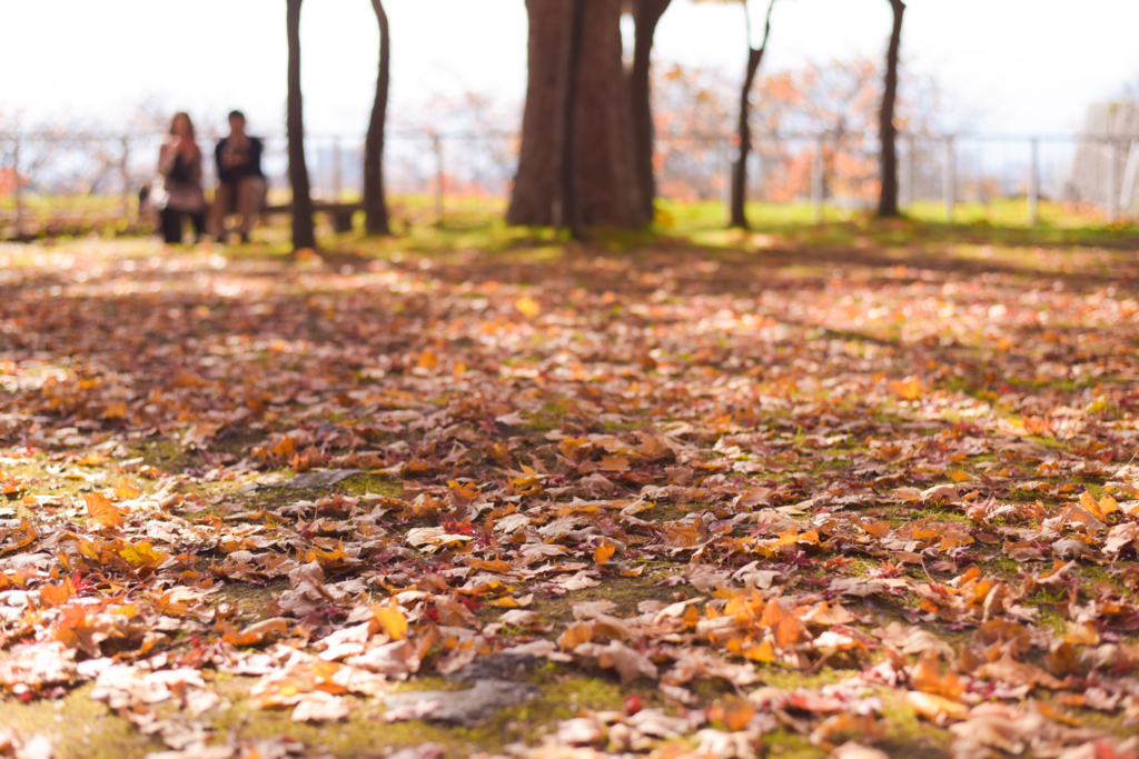 f:id:SUUMO:20171115171602j:plain