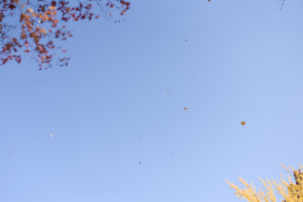 f:id:SUUMO:20171115171639j:plain