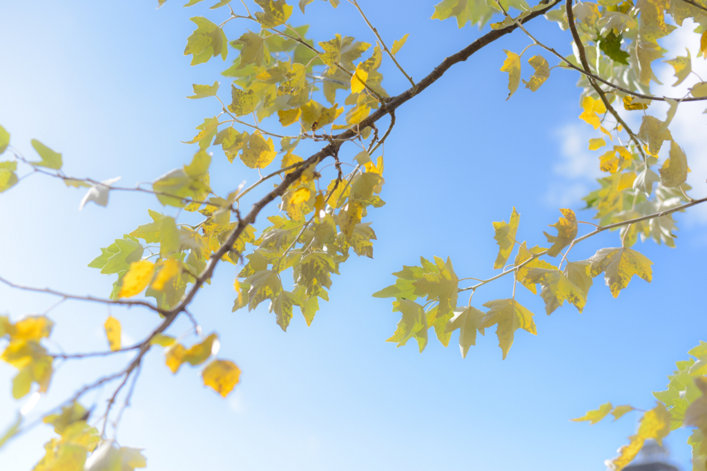 f:id:SUUMO:20171115172633j:plain