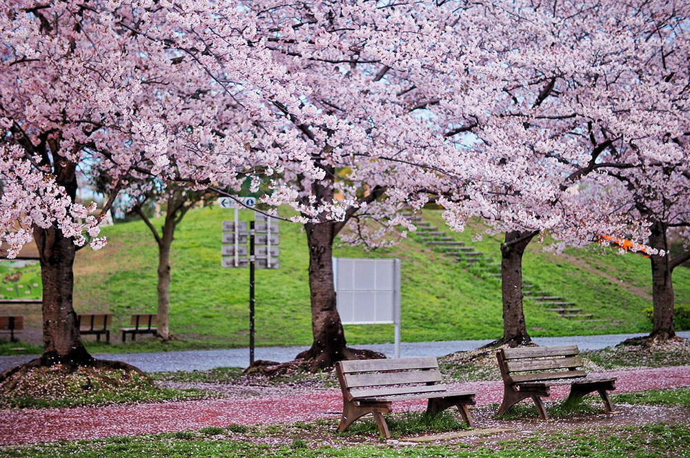 f:id:SUUMO:20180215104045j:plain