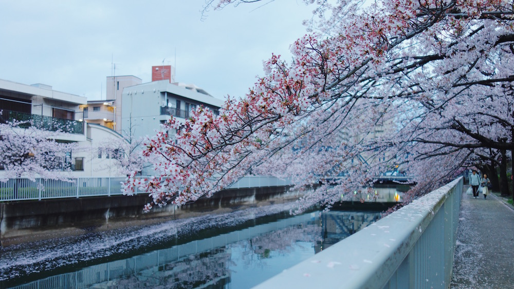 f:id:SUUMO:20180508163232j:plain