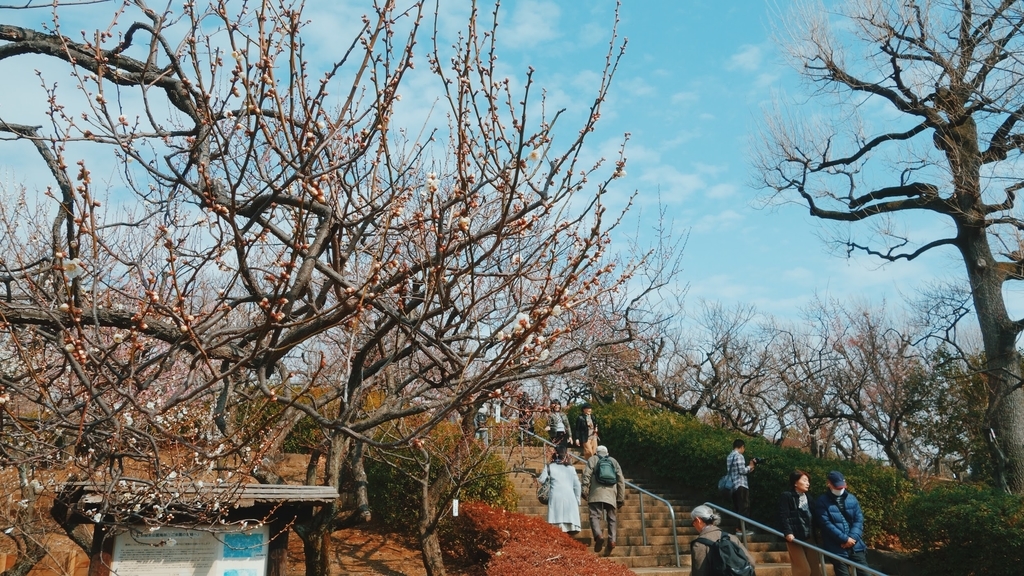 f:id:SUUMO:20190304124724j:plain