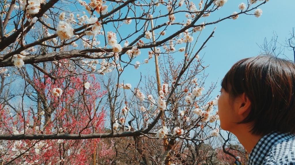 f:id:SUUMO:20190304124738j:plain