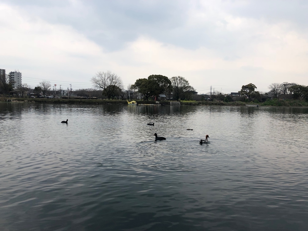 f:id:SUUMO:20190507165252j:plain