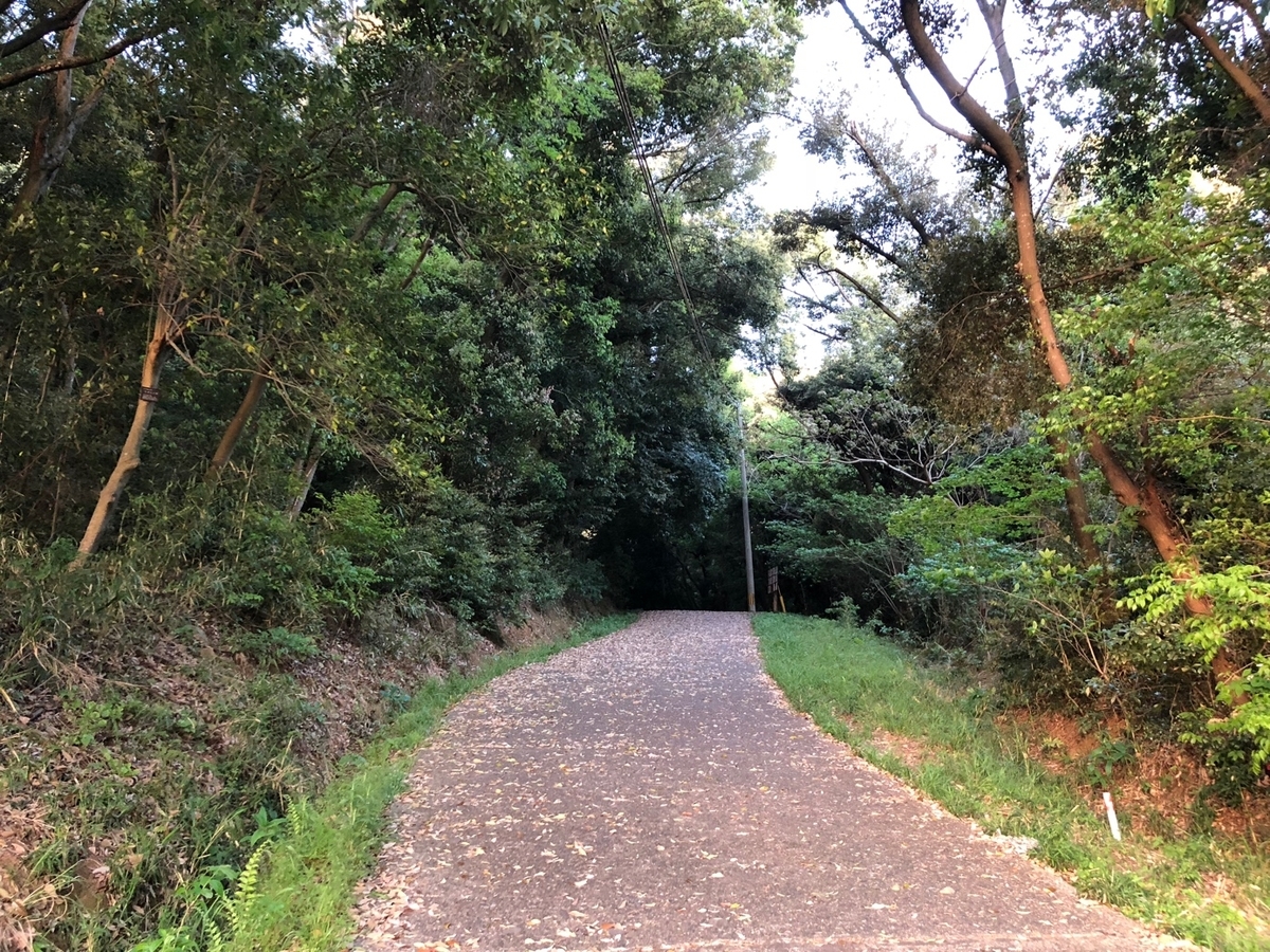 f:id:SUUMO:20190507165452j:plain