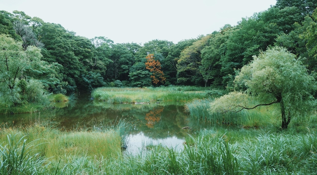 f:id:SUUMO:20190703132838j:plain