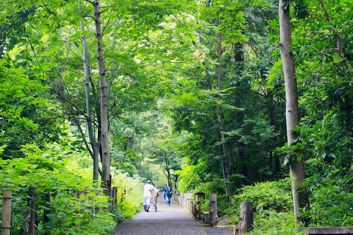 f:id:SUUMO:20190730165002j:plain