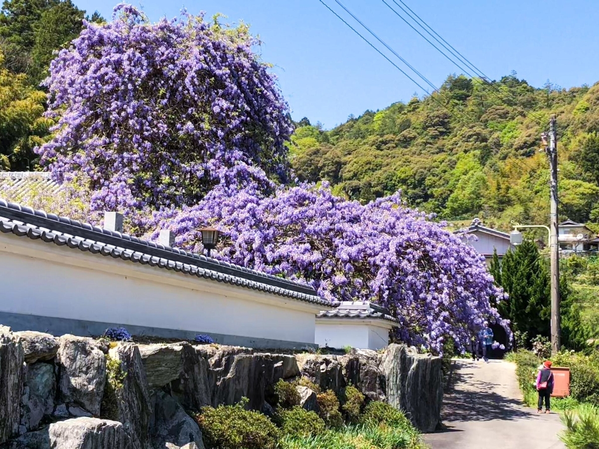 f:id:SUUMO:20200619160118j:plain