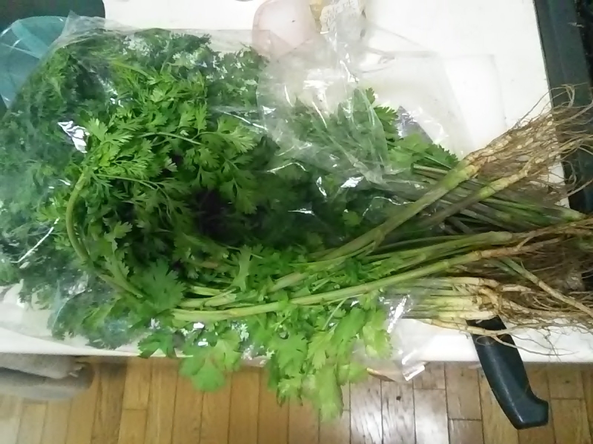 f:id:SUUMO:20200908152819j:plain