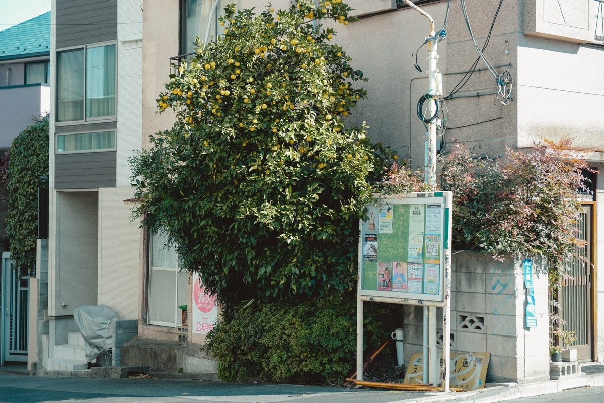 f:id:SUUMO:20210201171416j:plain