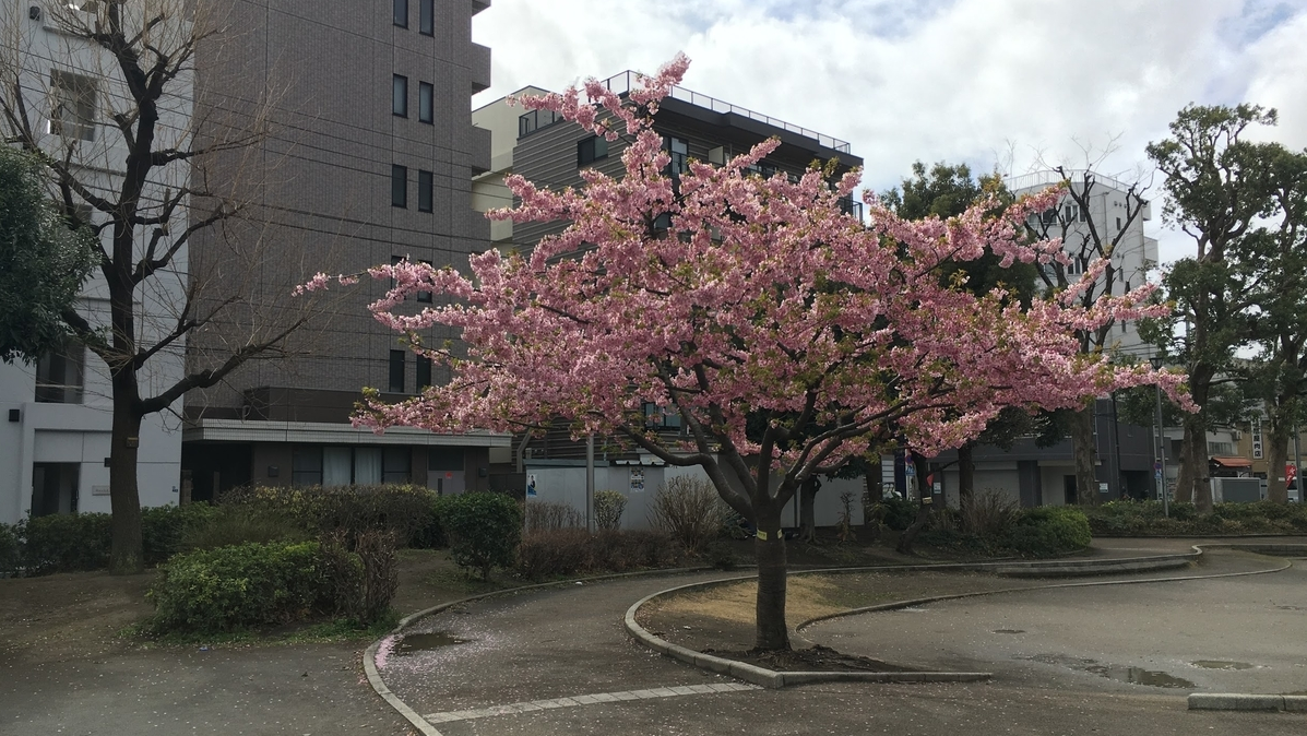 f:id:SUUMO:20210315081936p:plain