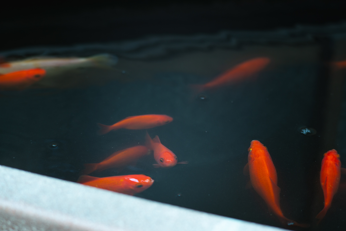 f:id:SUUMO:20210420095124j:plain