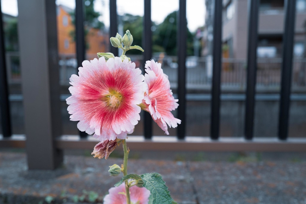 f:id:SUUMO:20210709102302j:plain