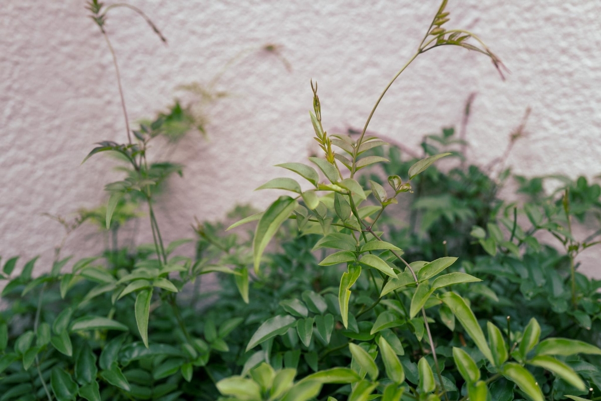 f:id:SUUMO:20210709102356j:plain