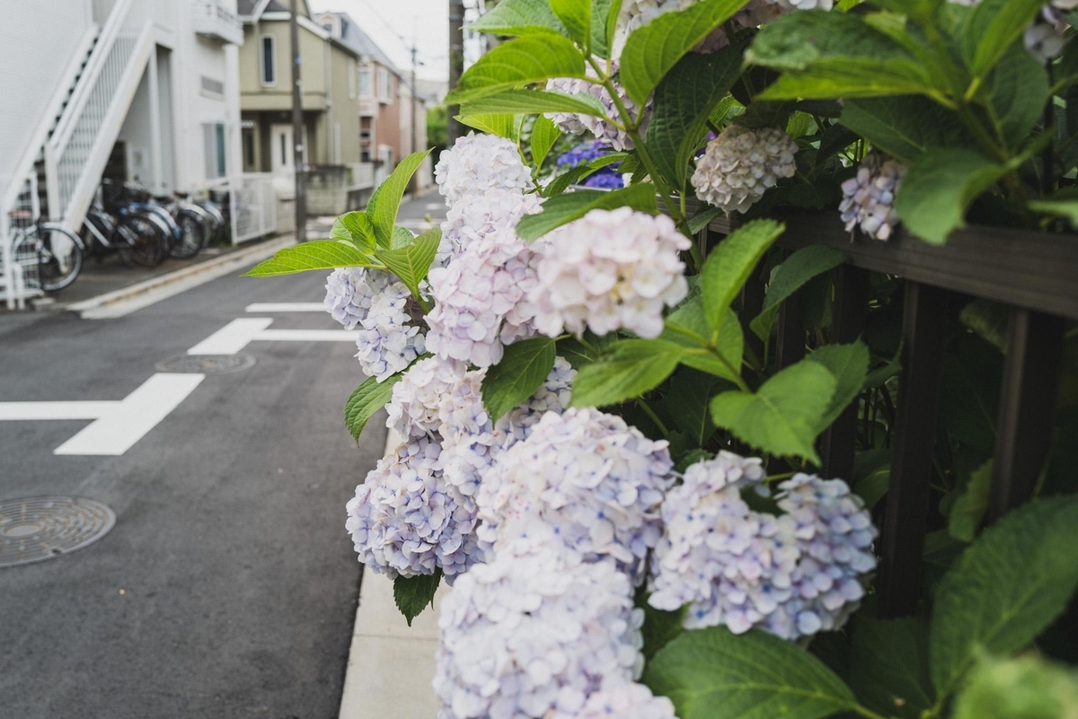 f:id:SUUMO:20210709102557j:plain