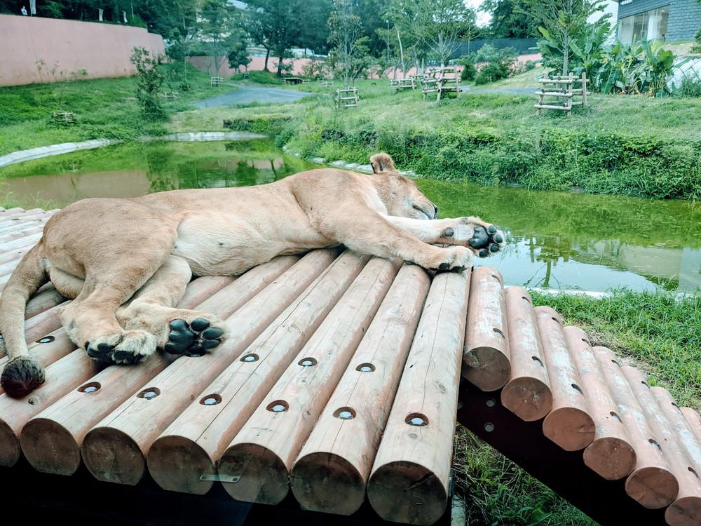 f:id:SUUMO:20210917090120j:plain