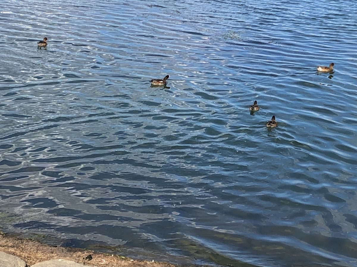 f:id:SUUMO:20211029094521j:plain