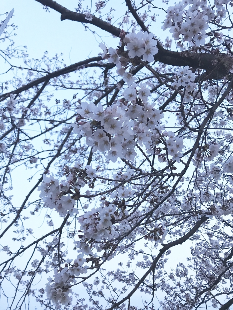 f:id:SUUMO:20211124163406j:plain